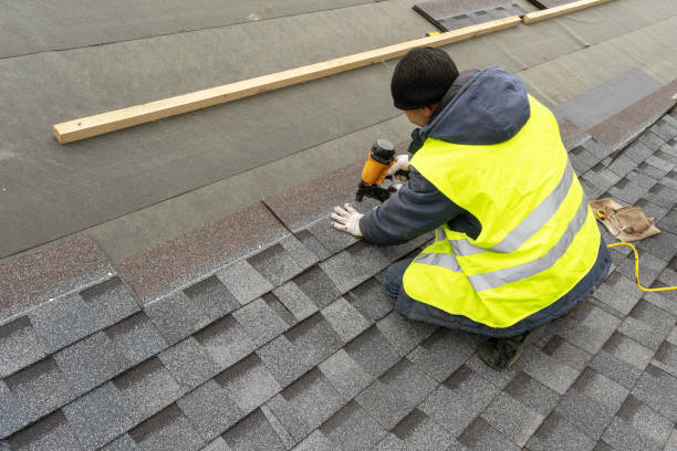 Best Roof Gutter Cleaning  in Bean Station, TN